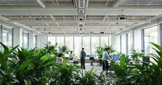 Consultoria em Estudos Ambientais: Como Potencializar Seu Negócio e Preservar o Meio Ambiente